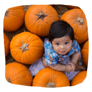 A baby sitting in a field of pumpkins